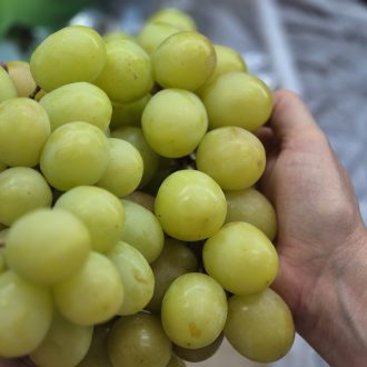 uvas branca sem grainha